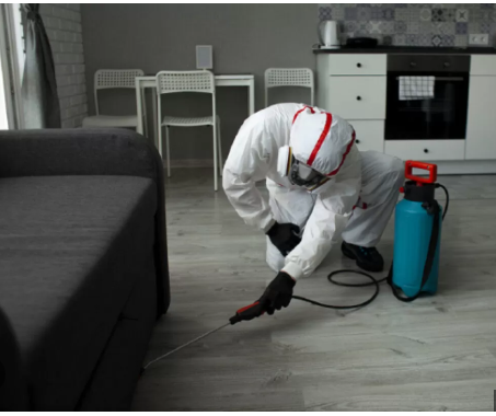 pest control services oxford