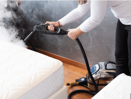Bed Bug Steam Control