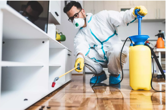 Biohazard Cleaning (Facility Staff)