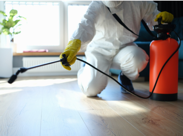 Emergency Pest Control service Oxford