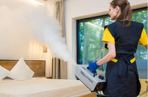 pest control in Oxford