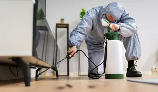 pest control services