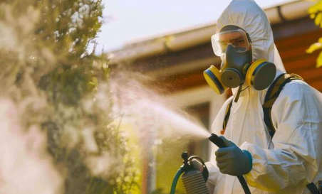 reliable pest control in Botley